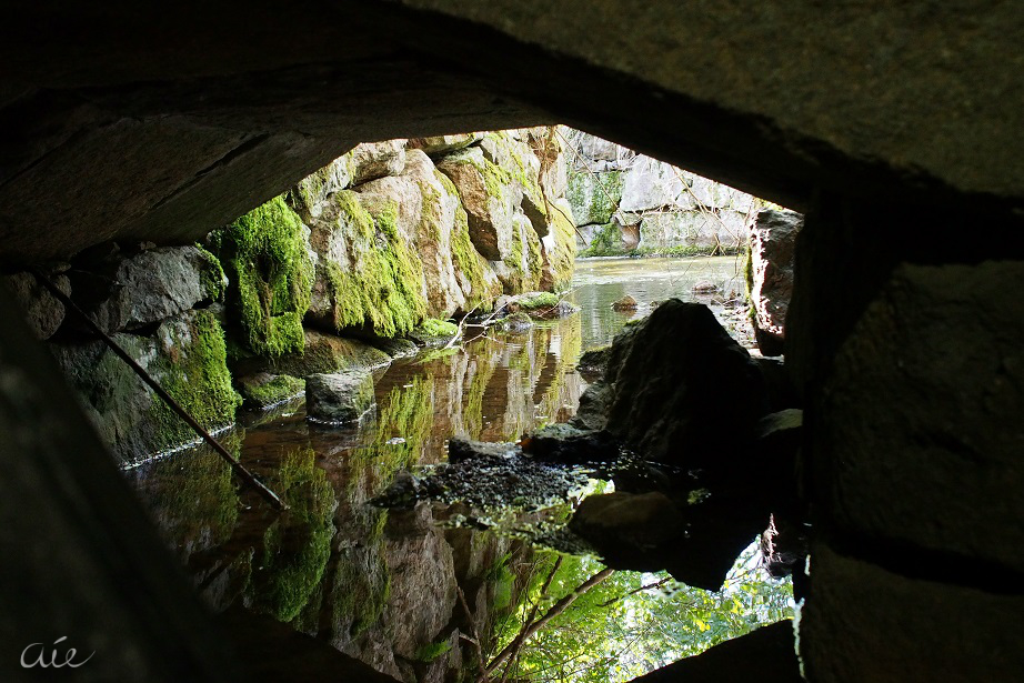 Yläpaja